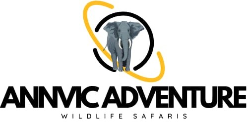 Annvic adventure wildlife safaris